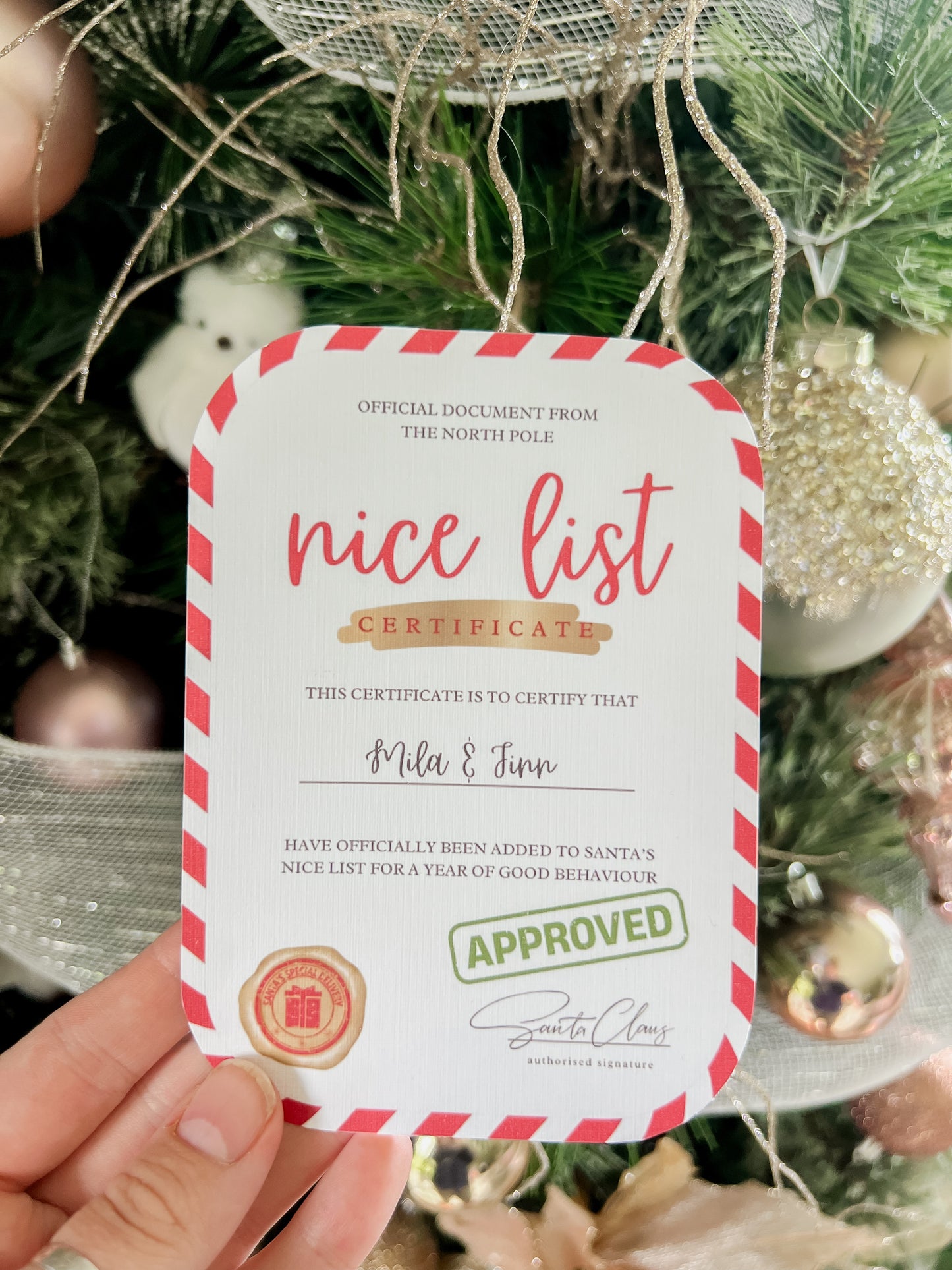 Nice List Certificate