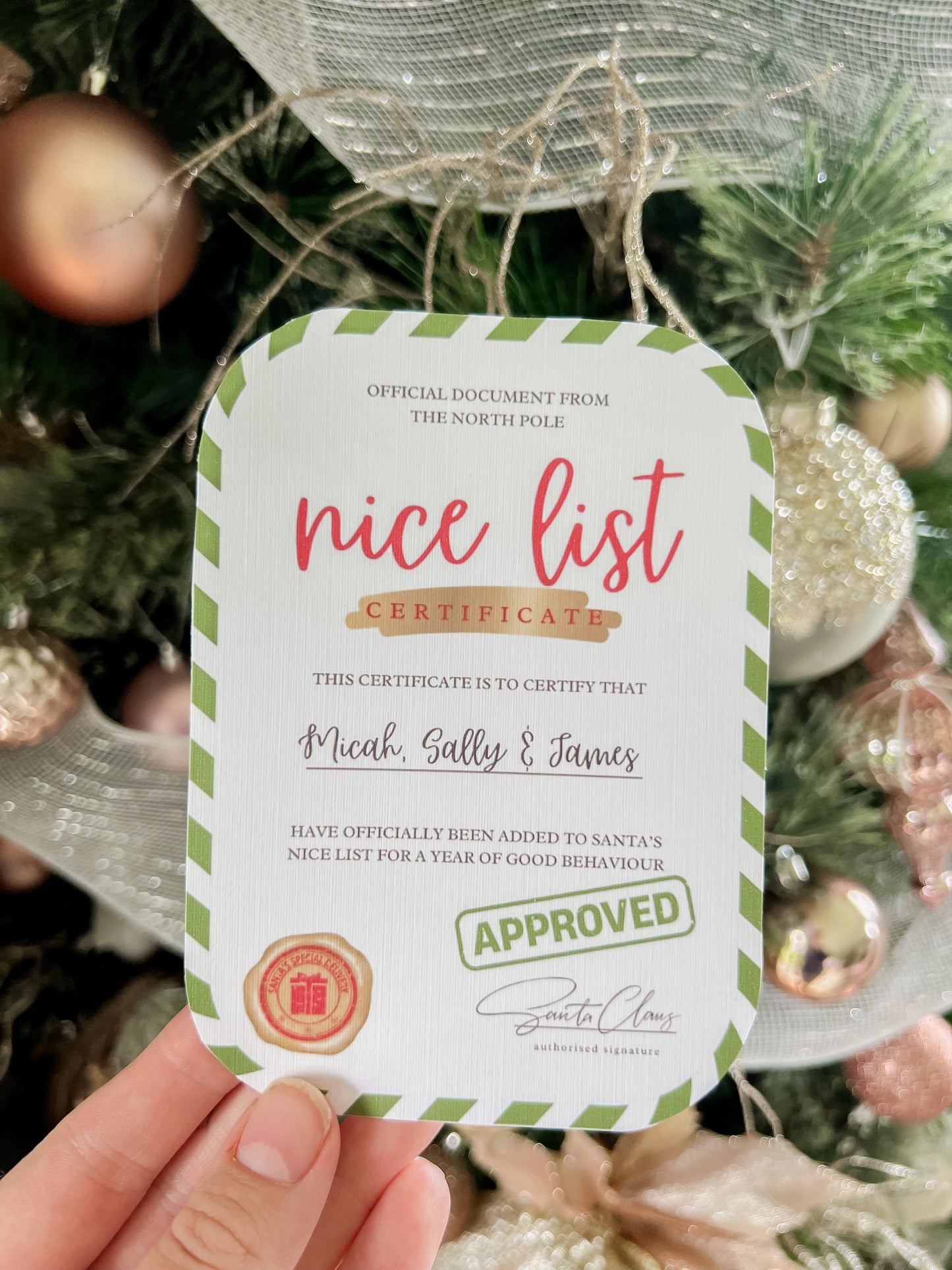 Nice List Certificate